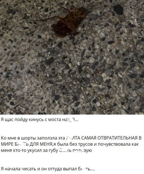 Алёну Опенченко в Таиланде укусил за интимное место таракан