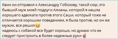 Гобозовы готовы помочь не только Дмитренко, но и Колесникову