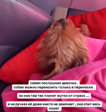 Последние новости дом 2 на сегодня 19 мая 2025