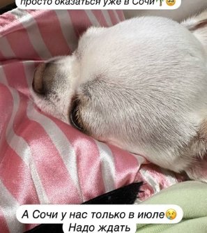 Последние новости дом 2 на сегодня 23 мая 2025