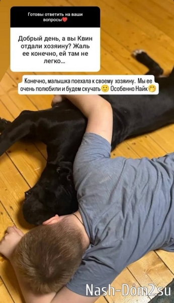 Александр Гобозов: Этим больным фантазиям есть границы?