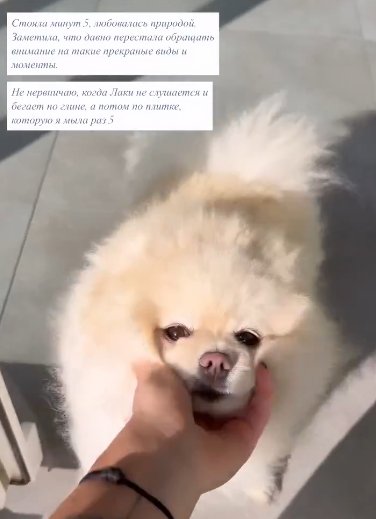 Яна Фиткевич вынуждена бороться со стрессом