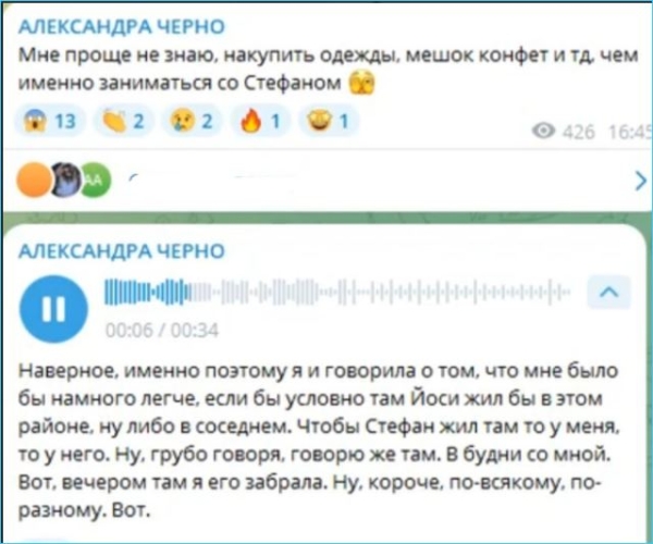 Александра Черно вынуждена признать, что не справляется с сыном Стефаном без помощи Иосифа Оганесяна