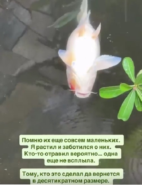 Последние новости дом 2 на сегодня 2 июля 2025