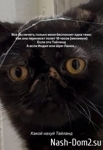 Алёна Опенченко отправится в путешествие в компании Сеньориты