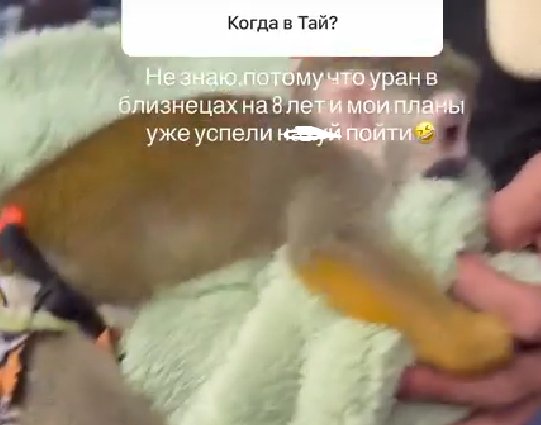 Рухнули планы Алёны Опенченко на возвращение в Таиланд