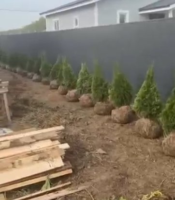 Вместо курятника Ильи Яббарова на Поляне построят конюшню для Хорошева