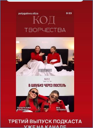 Елизавета Полыгалова будет продолжать свой блог после запрета на рекламу