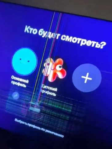 Елена Бушина рассказала, в чем провинился её муж