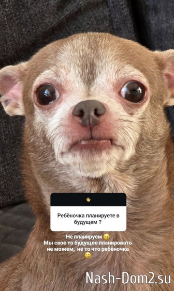 Ольга Ветер: Дима хочет, я не знаю Ольга Ветер: Дима хочет, я не знаю