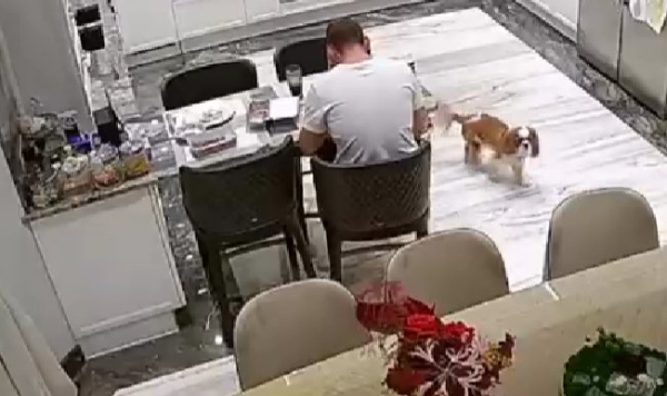 Гарик Харламов высмеял работу мужа Ксении Бородиной