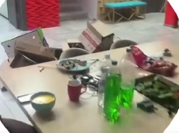 Игорь Григорьев считает, что живет среди свиней Игорь Григорьев считает, что живет среди свиней