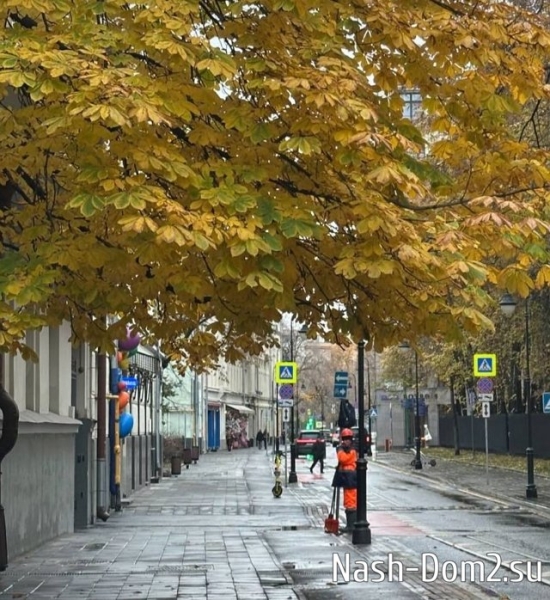 Ксения Бородина: Пупсики, какие мысли по поводу Патриков?