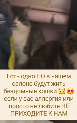 Клавдия Безверхова угрожает маме последствиями семейного скандала Клавдия Безверхова угрожает маме последствиями семейного скандала