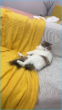 Илья Яббаров нашел способ заставить Тепловодскую следить за его гардеробом