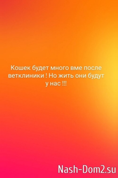 Наталья Кордюкова: Дочь подняла на меня руку! Наталья Кордюкова: Дочь подняла на меня руку!