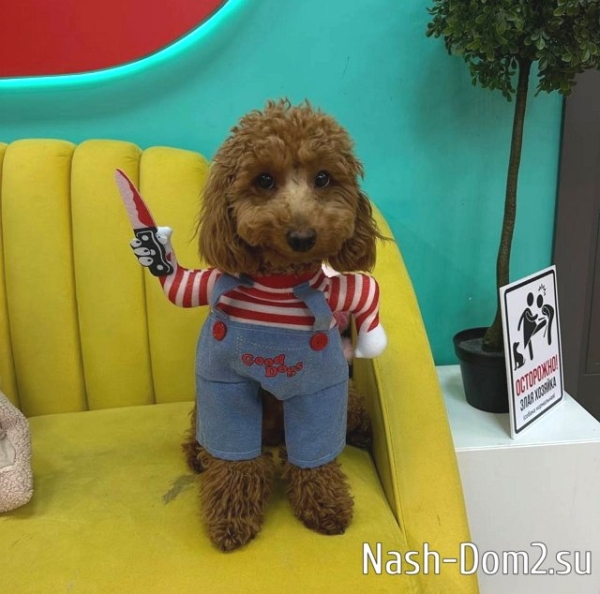 Игорь Григорьев снова обидел свою невесту Катю Квашникову Игорь Григорьев снова обидел свою невесту Катю Квашникову