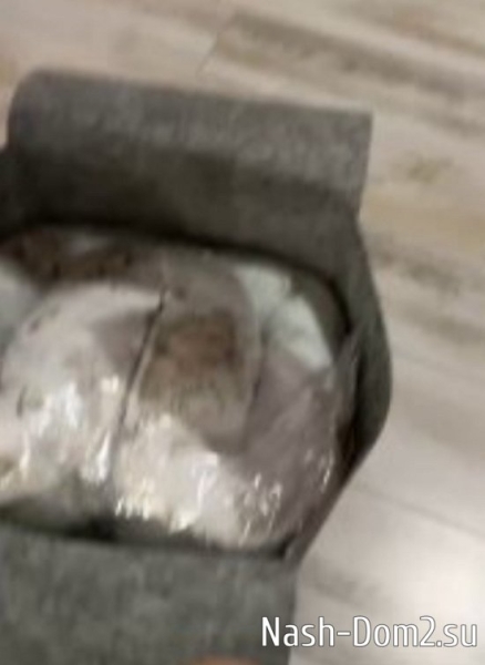 Татьяна Репина: Растерянные от радости папа и мама Татьяна Репина: Растерянные от радости папа и мама