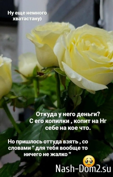 Ольга Ветер: Откуда у него деньги?