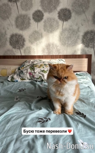 Виктория Чуева: Бусю тоже перевезли Виктория Чуева: Бусю тоже перевезли