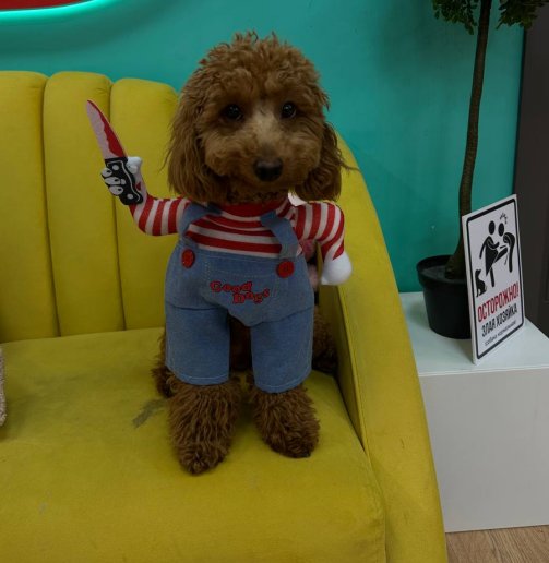 Игорь Григорьев выбил из-под Квашниковой стул и переехал в мужскую спальню Игорь Григорьев выбил из-под Квашниковой стул и переехал в мужскую спальню