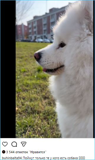 Кристина Бухынбалтэ призналась, что скучает без своей собаки Лео во время поездок Кристина Бухынбалтэ призналась, что скучает без своей собаки Лео во время поездок