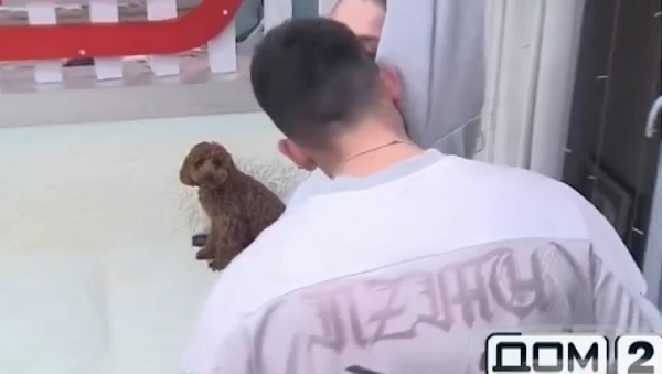 Игорь Григорьев выставил Квашникову "вонючкой" за неприятный запах