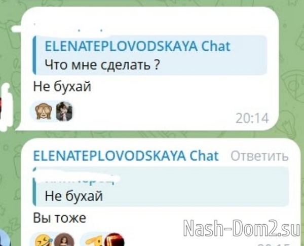 Елена Тепловодская оправдывается перед фанатами Рахимовой