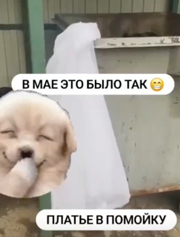 Наталья Безверхова выходит замуж и улетает в Америку