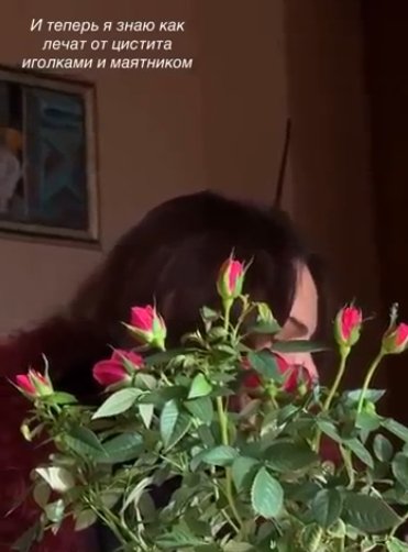 "Лечит цистит иголками?" - Алёна Опенченко нашлась в 100 км от Москвы