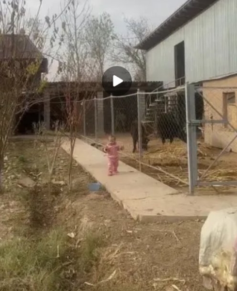 Анна Самонина: Один день из жизни женщины Узбекистана