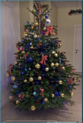 Алена Рапунцель подготовилась к встрече Нового года с детьми Алена Рапунцель подготовилась к встрече Нового года с детьми