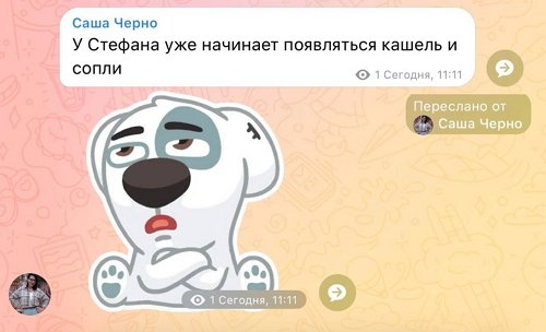 Александра Черно: Вы не представляете, как он меня бесит Александра Черно: Вы не представляете, как он меня бесит