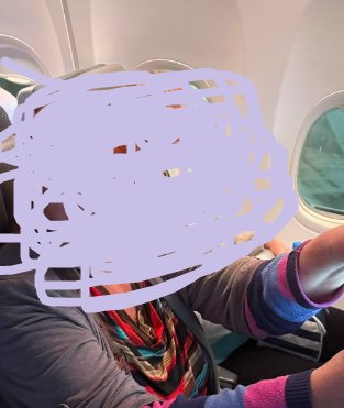 Светлана Прель устроила скандал на борту самолёта Светлана Прель устроила скандал на борту самолёта