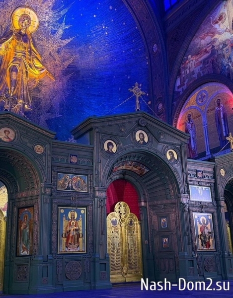 Никита Гуранда: У меня опять появился смысл жизни Никита Гуранда: У меня опять появился смысл жизни