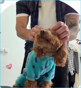 Последние новости дом 2 на сегодня 21 декабря 2025 Последние новости дом 2 на сегодня 21 декабря 2025