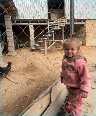 Максим Евстропов недоволен подписчиками жены Максим Евстропов недоволен подписчиками жены