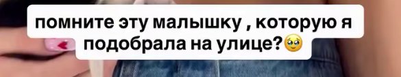 Екатерина Скалон показала собаку, найденную в Иркутске Екатерина Скалон показала собаку, найденную в Иркутске