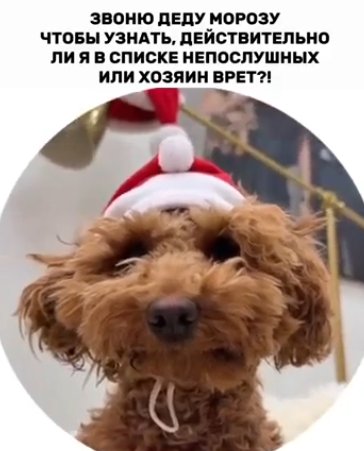 Игорь Григорьев подвёл свои итоги 2025 года Игорь Григорьев подвёл свои итоги 2025 года