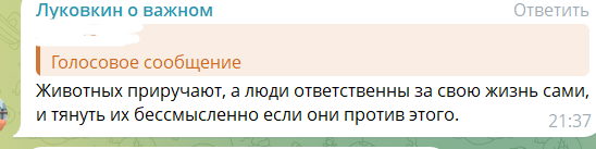 Дима Луковкин с состраданием смотрит на метания Насти Филипповой