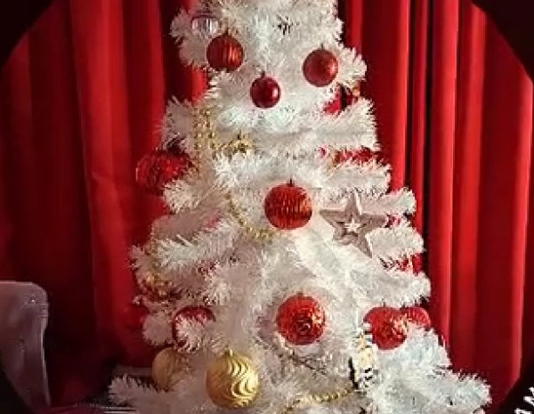 Вероника Гракович нарядила с любовником Артёмом ёлочку Вероника Гракович нарядила с любовником Артёмом ёлочку