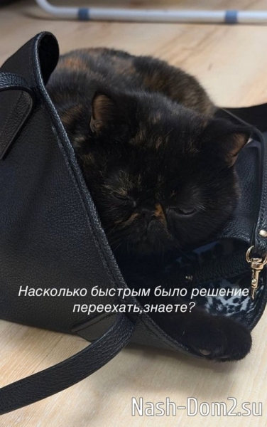 Алёна Опенченко: До меня доходит, что я сделала Алёна Опенченко: До меня доходит, что я сделала