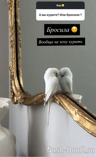 Ксения Бородина: Вы затронули больную тему Ксения Бородина: Вы затронули больную тему