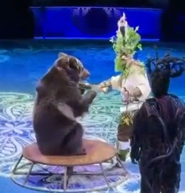 Элина Рахимова превратила жизнь Никиты Гуранды в сплошной цирк Элина Рахимова превратила жизнь Никиты Гуранды в сплошной цирк