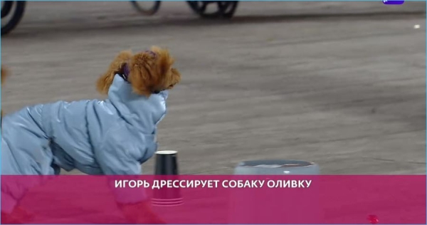 Григорьев считает, что Вероника Гракович опасается конкуренции со стороны молодых участниц Дома 2 Григорьев считает, что Вероника Гракович опасается конкуренции со стороны молодых участниц Дома 2