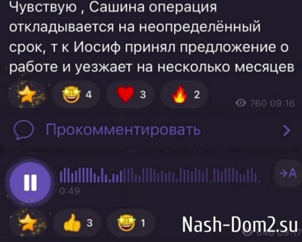 Александра Черно: У человека, вообще, нет мозгов! Александра Черно: У человека, вообще, нет мозгов!