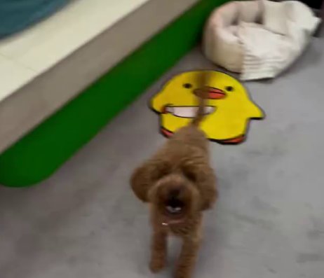 Тигран Салибеков рассказал, как прошло первое утро в мужской спальне Тигран Салибеков рассказал, как прошло первое утро в мужской спальне