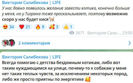 Виктория Салибекова хочет взять в свою семью питомца Виктория Салибекова хочет взять в свою семью питомца