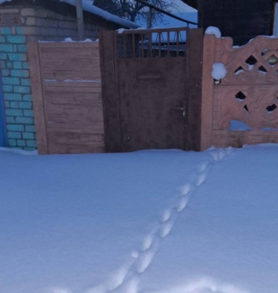 Вероника Гракович поехала в Беларусь подавать на развод Вероника Гракович поехала в Беларусь подавать на развод