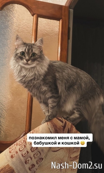 Виктория Чуева: Какой умный у меня мужчина Виктория Чуева: Какой умный у меня мужчина